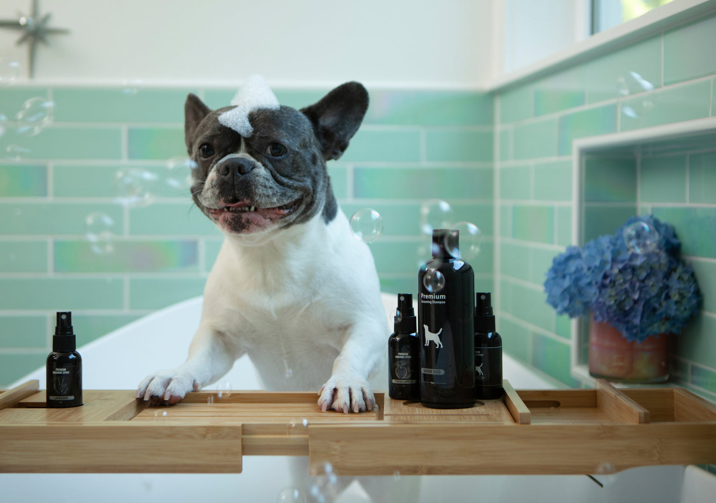 Show Dog Premium Grooming Shampoo