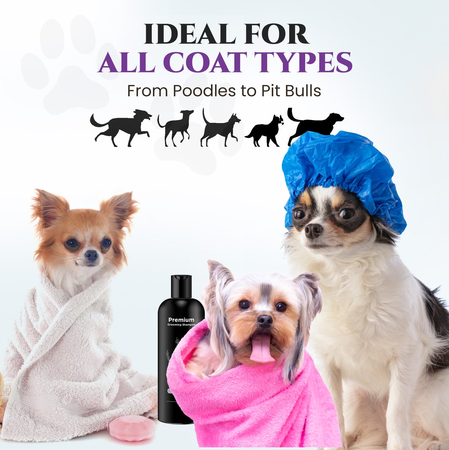Lavender Premium Grooming Shampoo