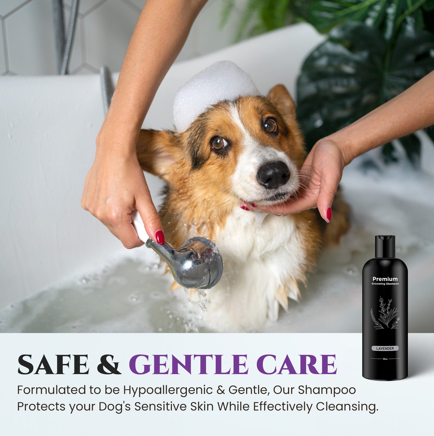 Lavender Premium Grooming Shampoo