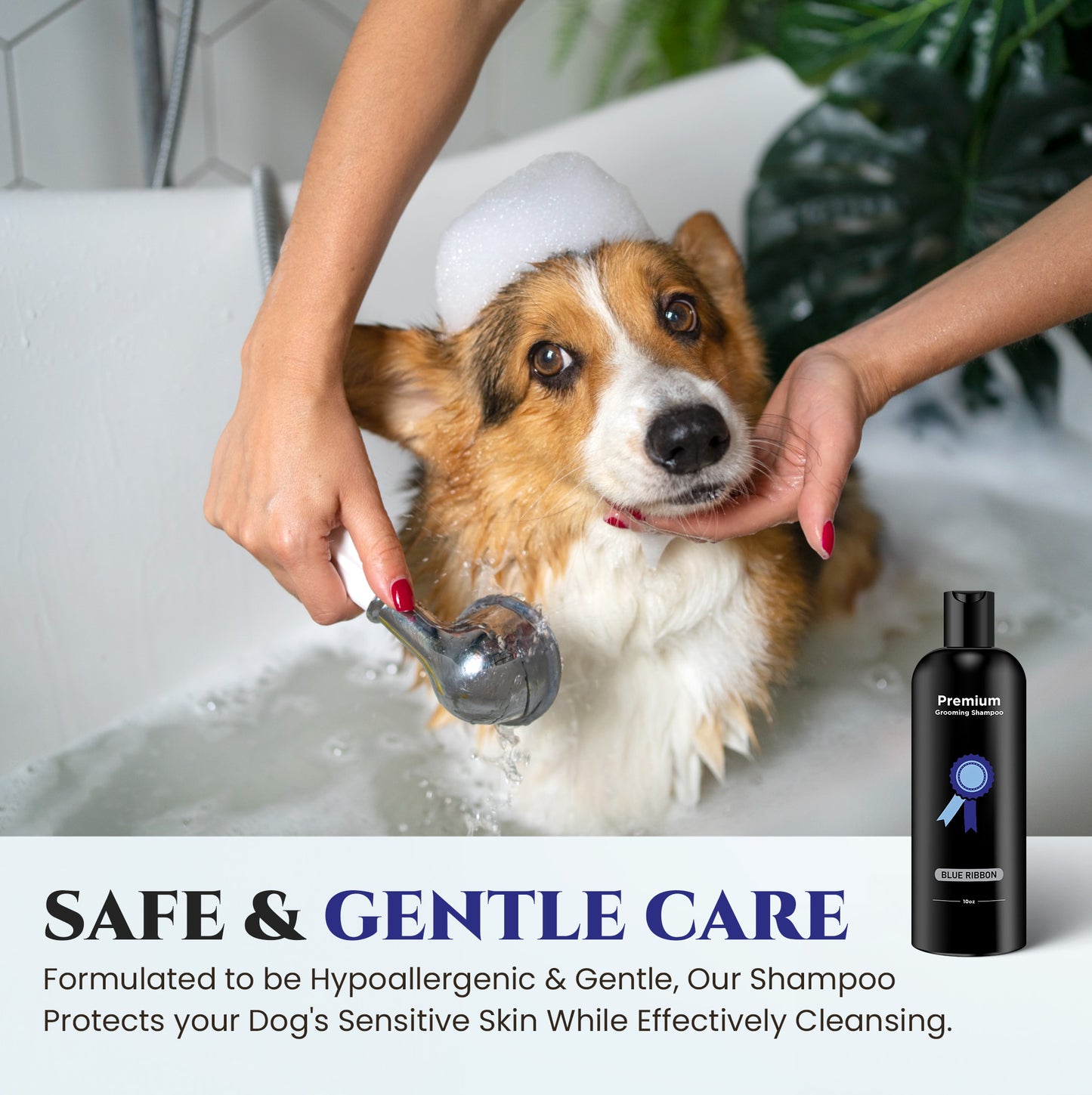 Blue Ribbon Premium Grooming Shampoo